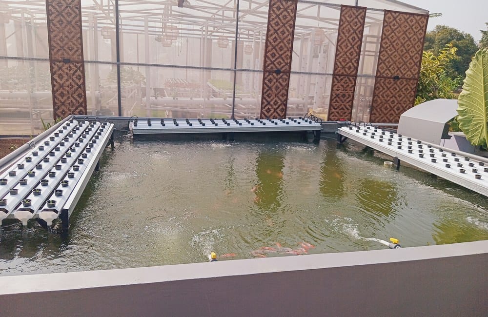 Unit Aquaponik Terpadu