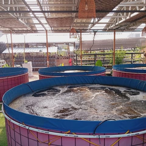 Paket Starter Kolam Bioflok
