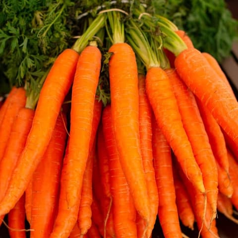 Sayur Organik Wortel Segar